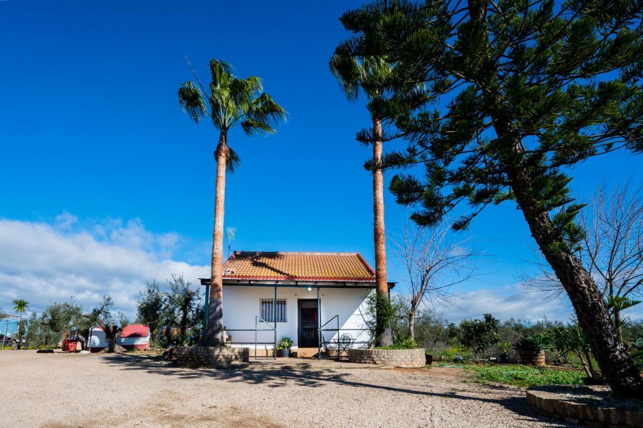 El Paraiso Del Olivar Bollullos de la Mitación エクステリア 写真