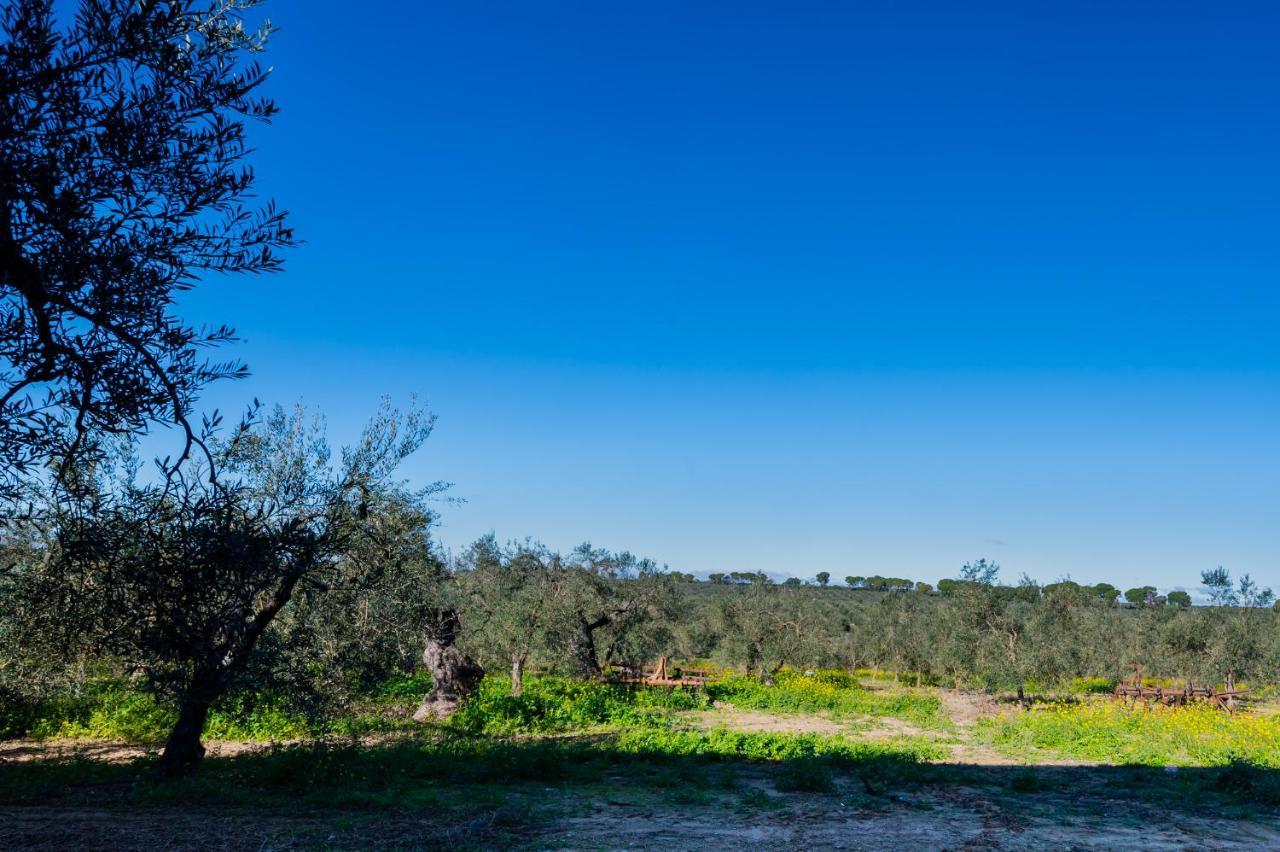 El Paraiso Del Olivar Bollullos de la Mitación エクステリア 写真